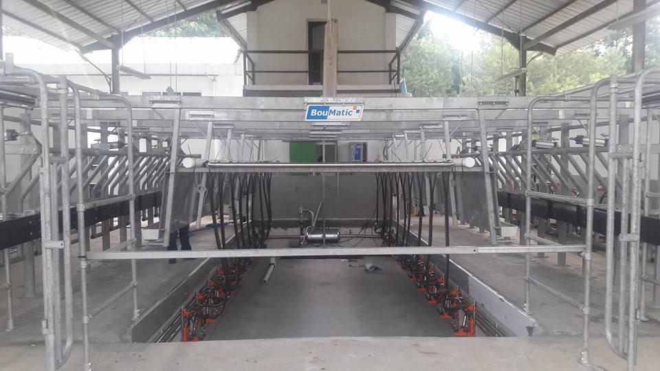 Boumatic Milking Parlour