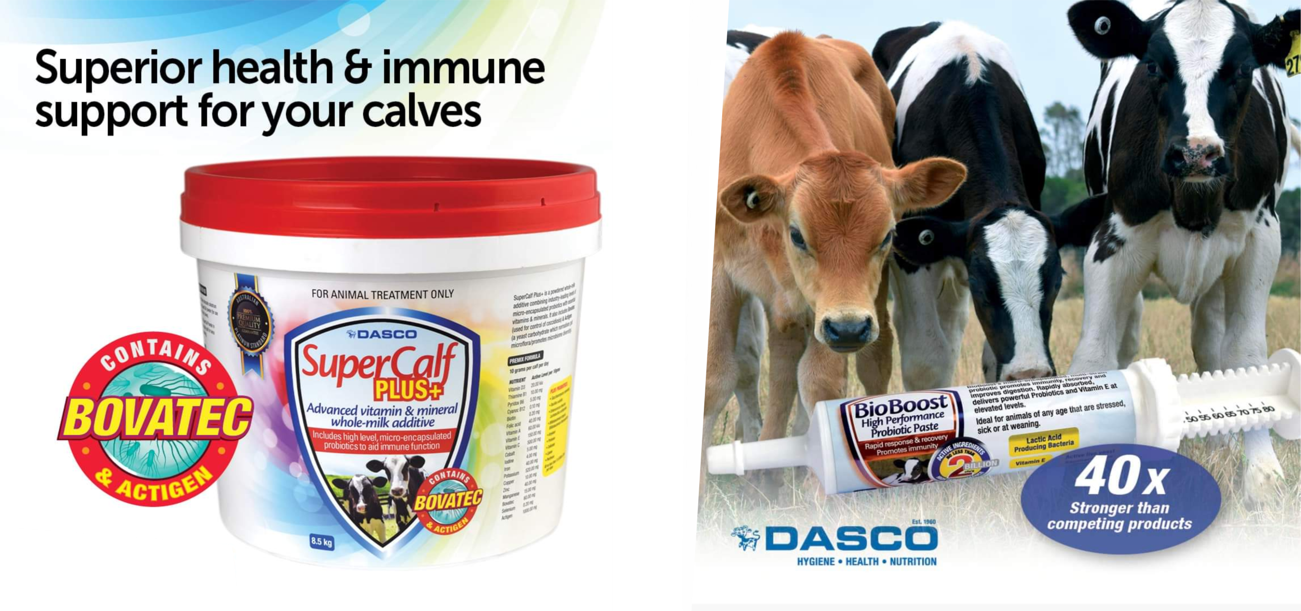 dasco